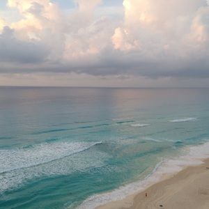 Meet your Posher, Alison